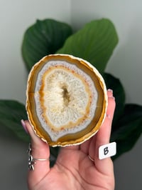 Image 3 of CARNELIAN AGATE GEODE -MADAGASCAR-