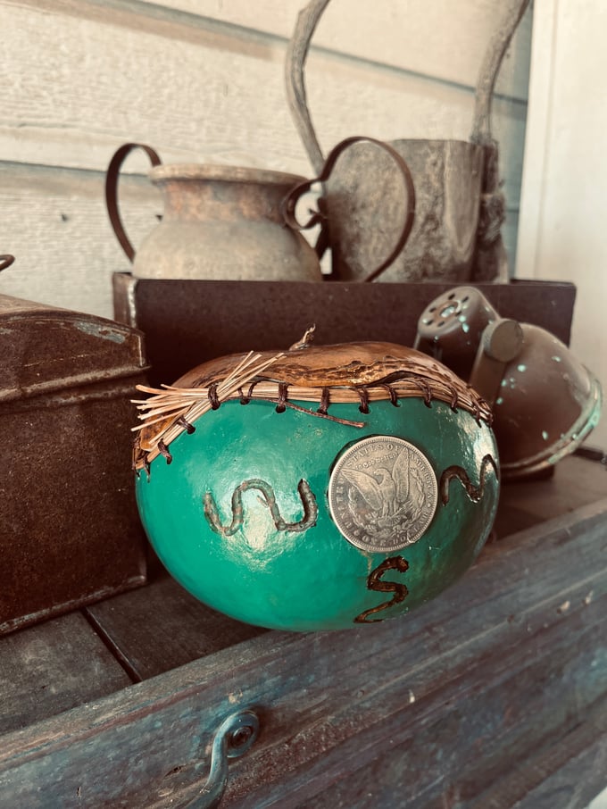 Image of Teal silver dollar Gourd