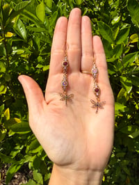 dragonflies