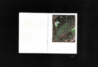 Image 2 of Holy spring by Fraser Carr Miles 