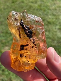 Image 5 of Amber Specimen #1944
