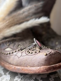 Image 2 of The Prairie Blush