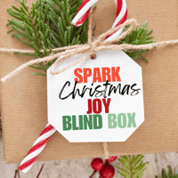 Image 1 of Spark ⚡️Christmas Joy BLIND BOX 🎁