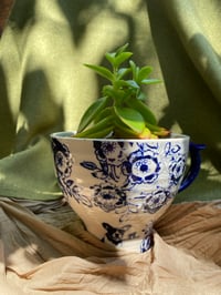 Image 5 of Campfire Plant in Anthropologie Bulldog Mug