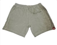 Image 7 of CS TT Shorts.