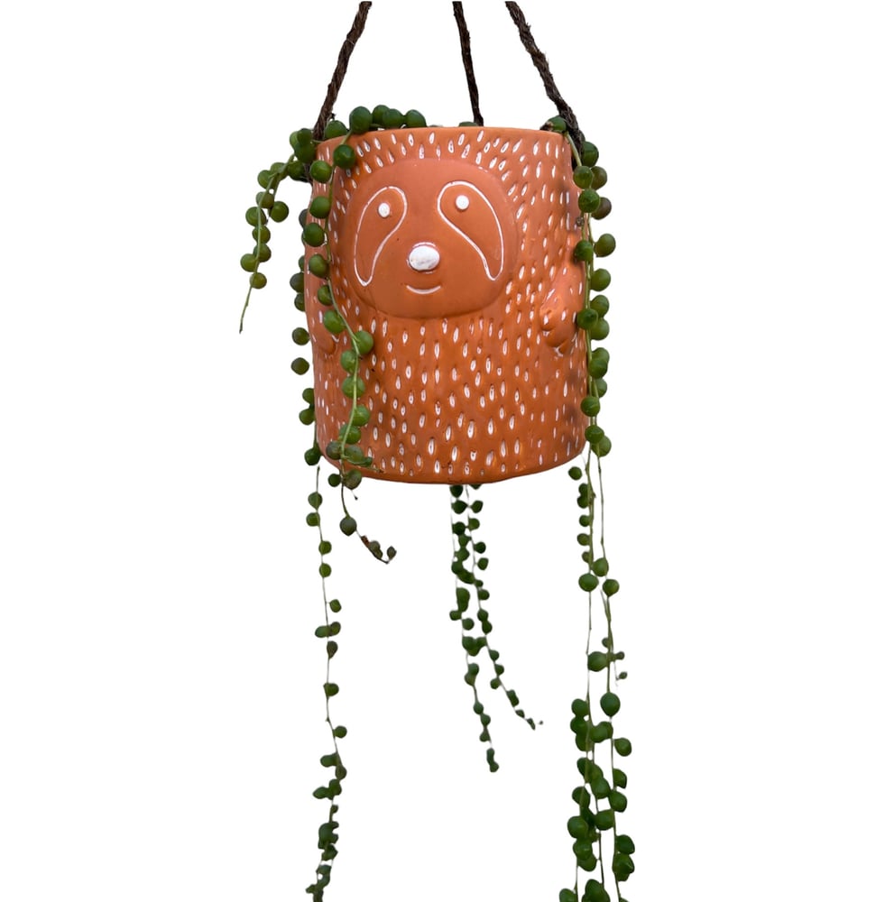 Image of Sloth hanging pot with pearls 