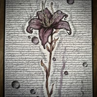 Image 1 of “7 caterpillars” Prints