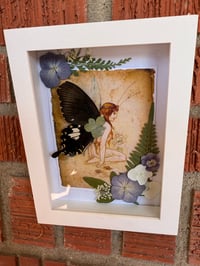 Violet faerie