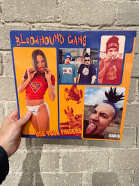 Bloodhound Gang ‎– Use Your Fingers - 1995 LP!