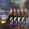 Wall Of Voodoo - Happy Planet 