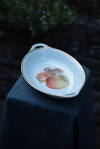 Image 4 of Schale, mit Goldrand und Obst-Bemalung