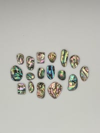 Image 3 of Abalone option 15 
