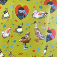 ducks sticker sheet