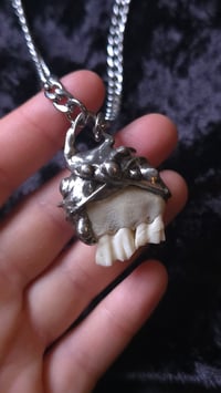 Image 3 of Sheep teeth necklace