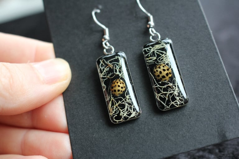sunbleached lady bird stainless steel earrings 2 Image 3