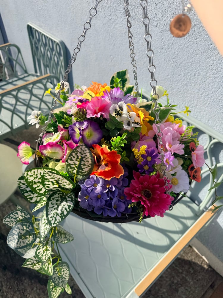 Image of Special Offer Hanging Basket 