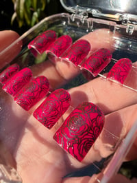 Image 4 of Radiant Rose Archive