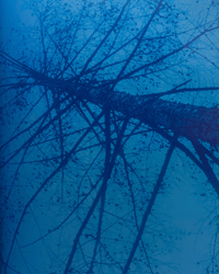 Image 11 of Nobuyoshi Araki - Junco Book