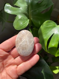 Image 4 of Moonstone Palm Crystal (3)