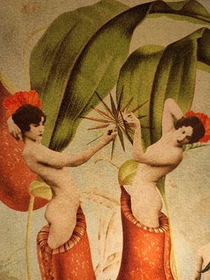 Image of Renacimiento.