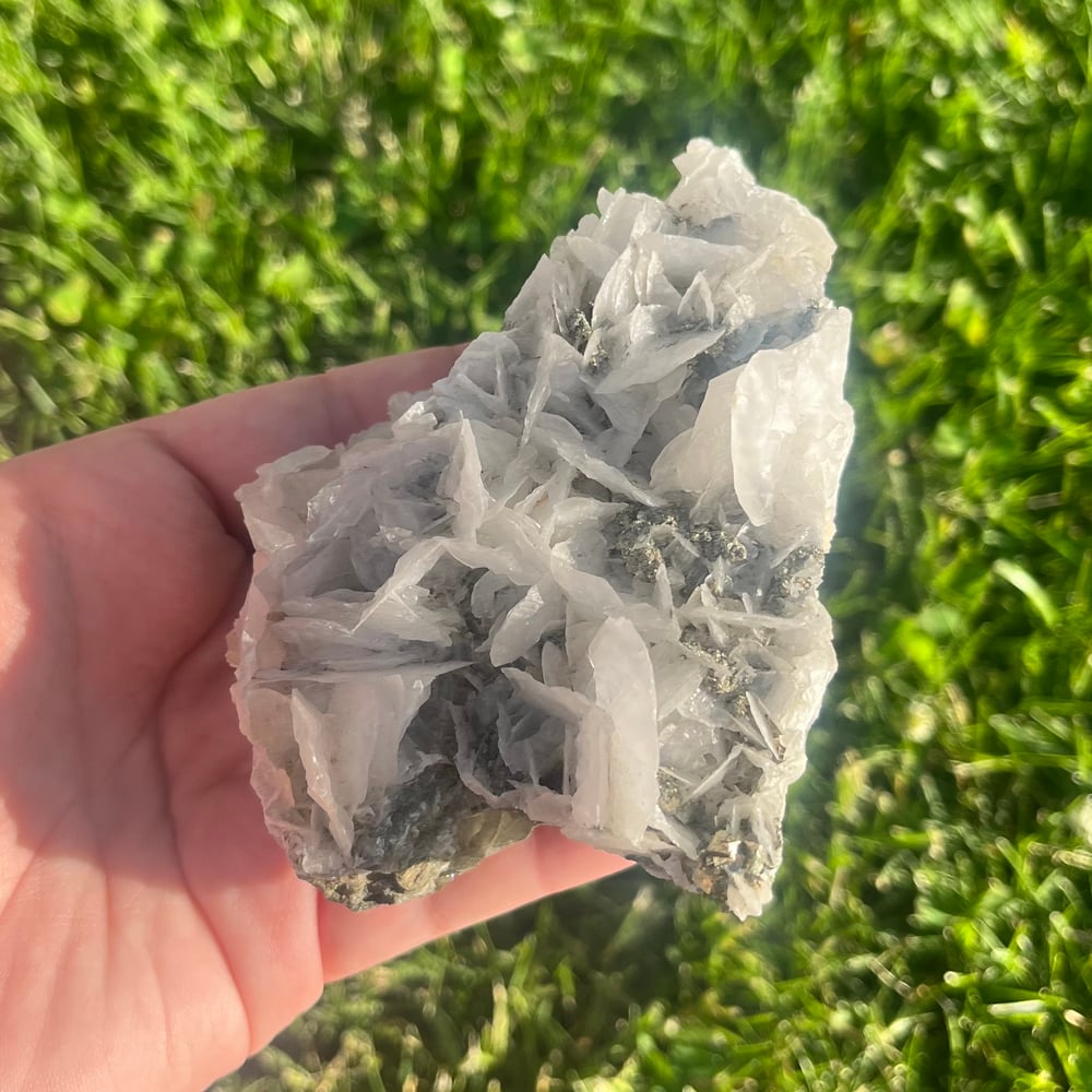 Image of Angel Wing Calcite + Pyrite Cluster