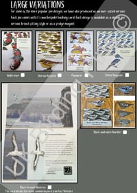 Image 2 of UK Birding Pins Club Membership