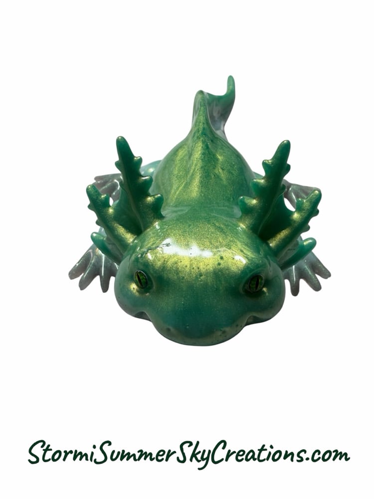 Image of Axolotl 