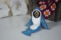 Image 1 of Sloth in a Shark Onesie