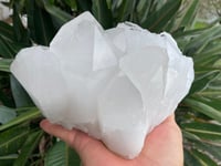 Image 4 of Clear Quartz Self Healed Points Cluster #1189