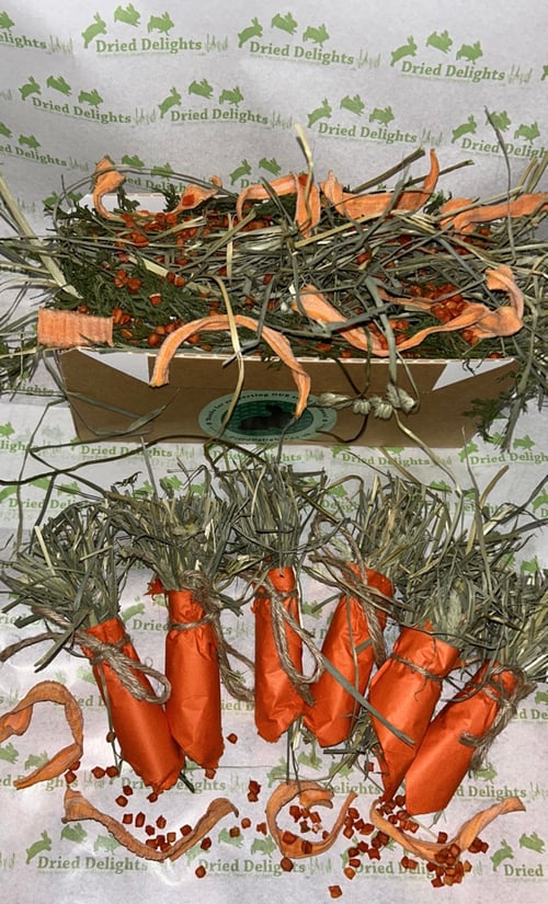 Image of Carrot Patch Enrichment Forage Toy