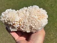 Image 14 of Aragonite On White Calcite Specimen #1243