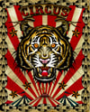 Circus Tiger