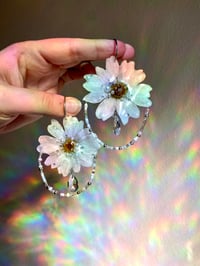 Image 2 of 🤍Dewdrop Pearl Daisies🤍