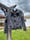 Image of Women’s Medium Armchair Boogie Zip Up Jacket 