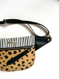 Image 2 of Spots & stripes