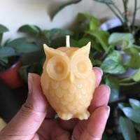 Image 3 of Beeswax Candles Novelty Style