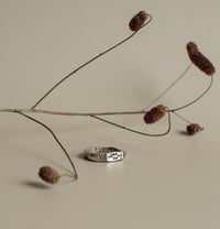 Image 1 of Silver “URLIDE” ring - size 8/57/P