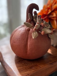Image 2 of Calabaza Otoño Med 