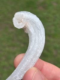 Image 15 of Rams Horn Selenite, Gypsum Specimen | Guizhou China #2867