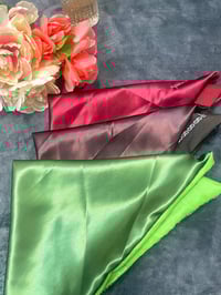 Image 3 of Satin Lined Bandanas
