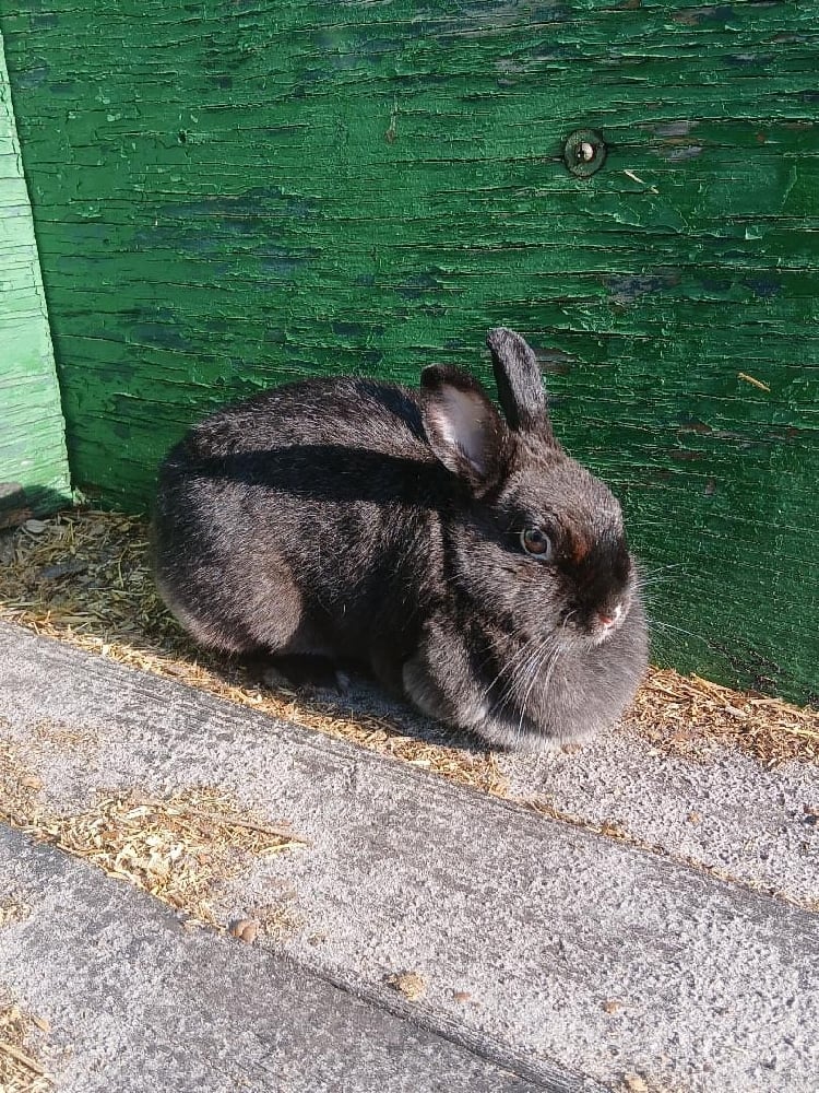 Image of Elisa (F) in Orlando 