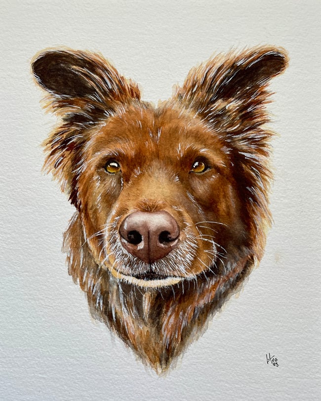 Custom Dog Portrait - Booking Fee for Rosemarie Foley