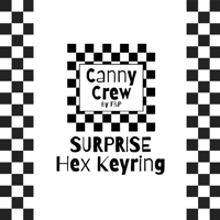 Image 1 of KEYRING: Surprise Hex