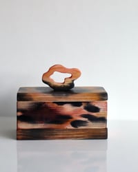 Image 1 of 'Gently on the Surface' Box