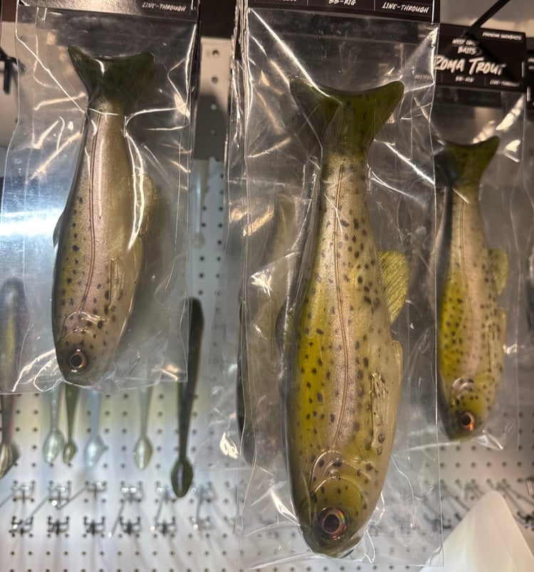 OG Reissue Light Trout *PCS EXCLUSIVE* - Image 3