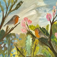 Image 3 of Two robins in a spring wild garden