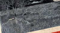 Image 4 of Reflecting With The Moon 9/14 