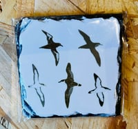 Image 2 of UK Birding Slates - Medium Square (14cm) - Various Designs Available 