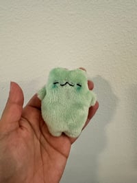 Mint Tubby