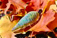 Image 3 of Compression Implosion Pendant